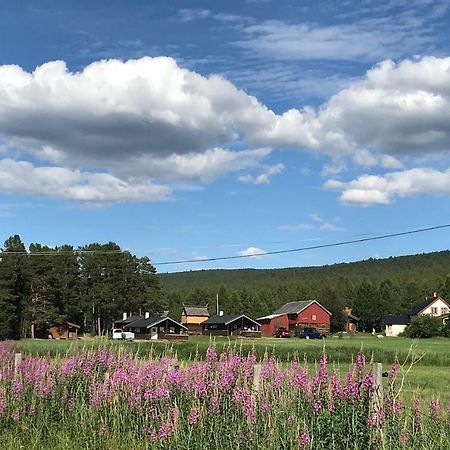 Roste Hyttetun Og Camping Os (Hedmark) Buitenkant foto