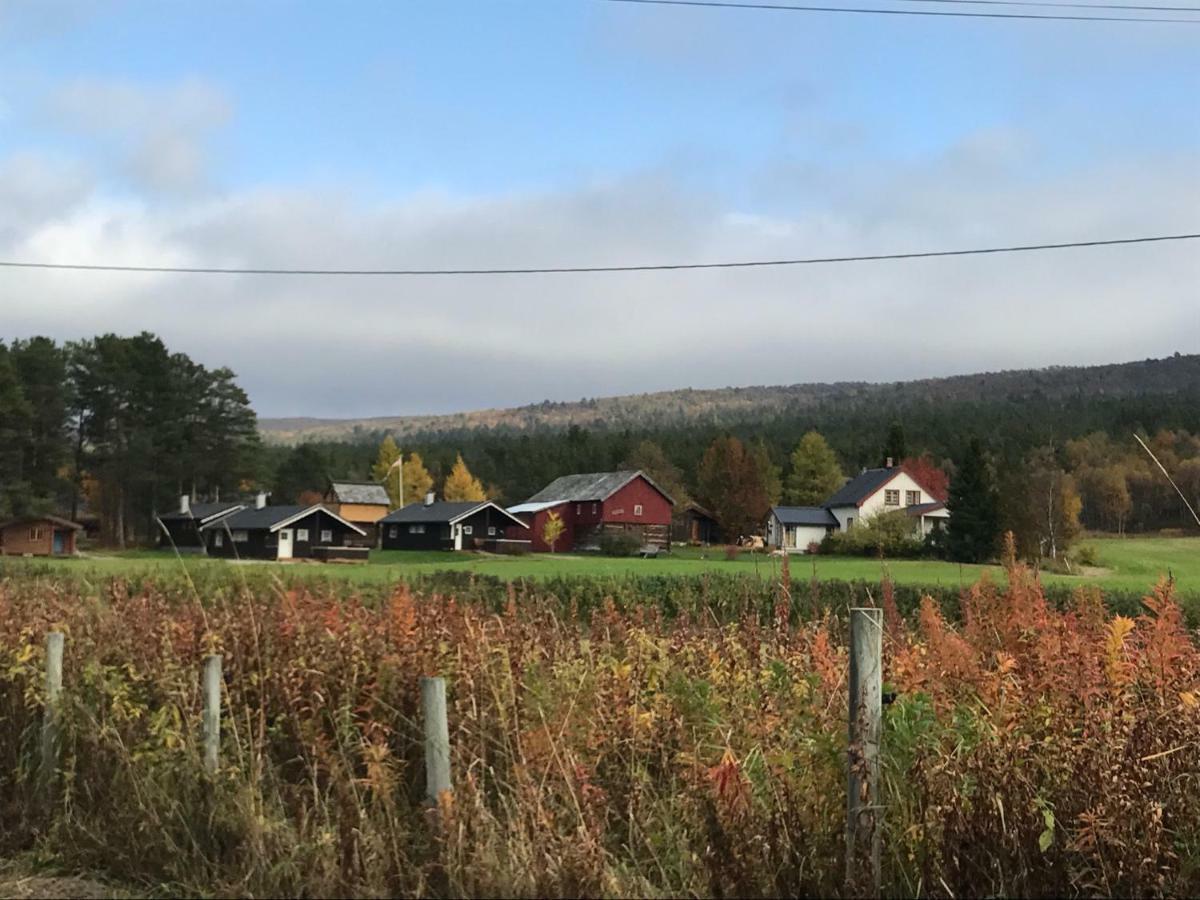 Roste Hyttetun Og Camping Os (Hedmark) Buitenkant foto
