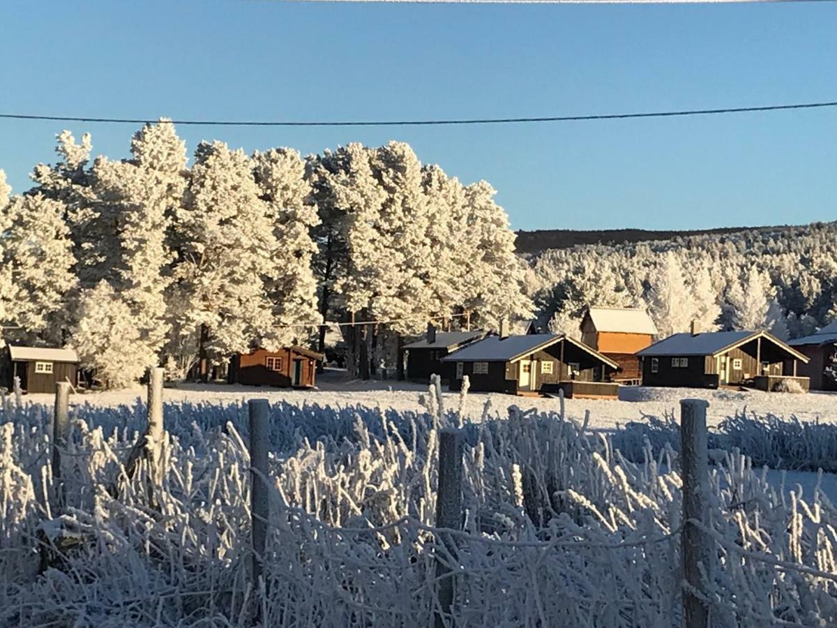 Roste Hyttetun Og Camping Os (Hedmark) Buitenkant foto